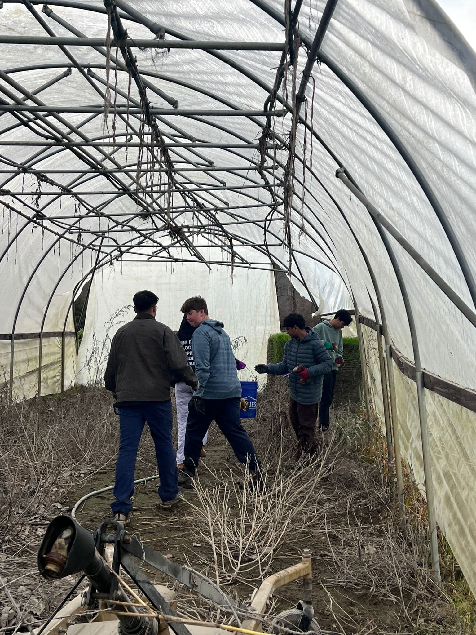 Volunteers inside the greenhouse