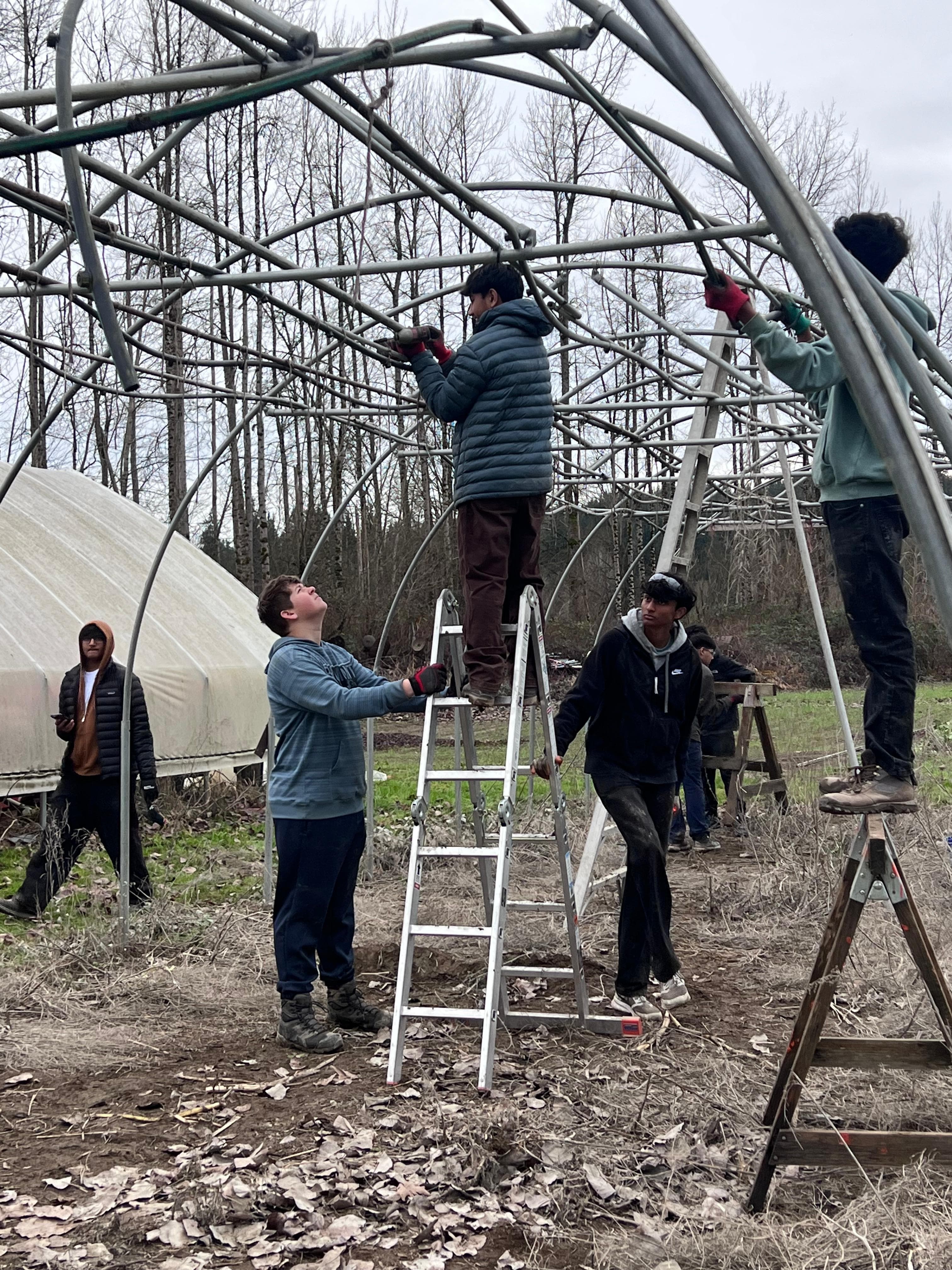 Rebuilding the greenhouse frame